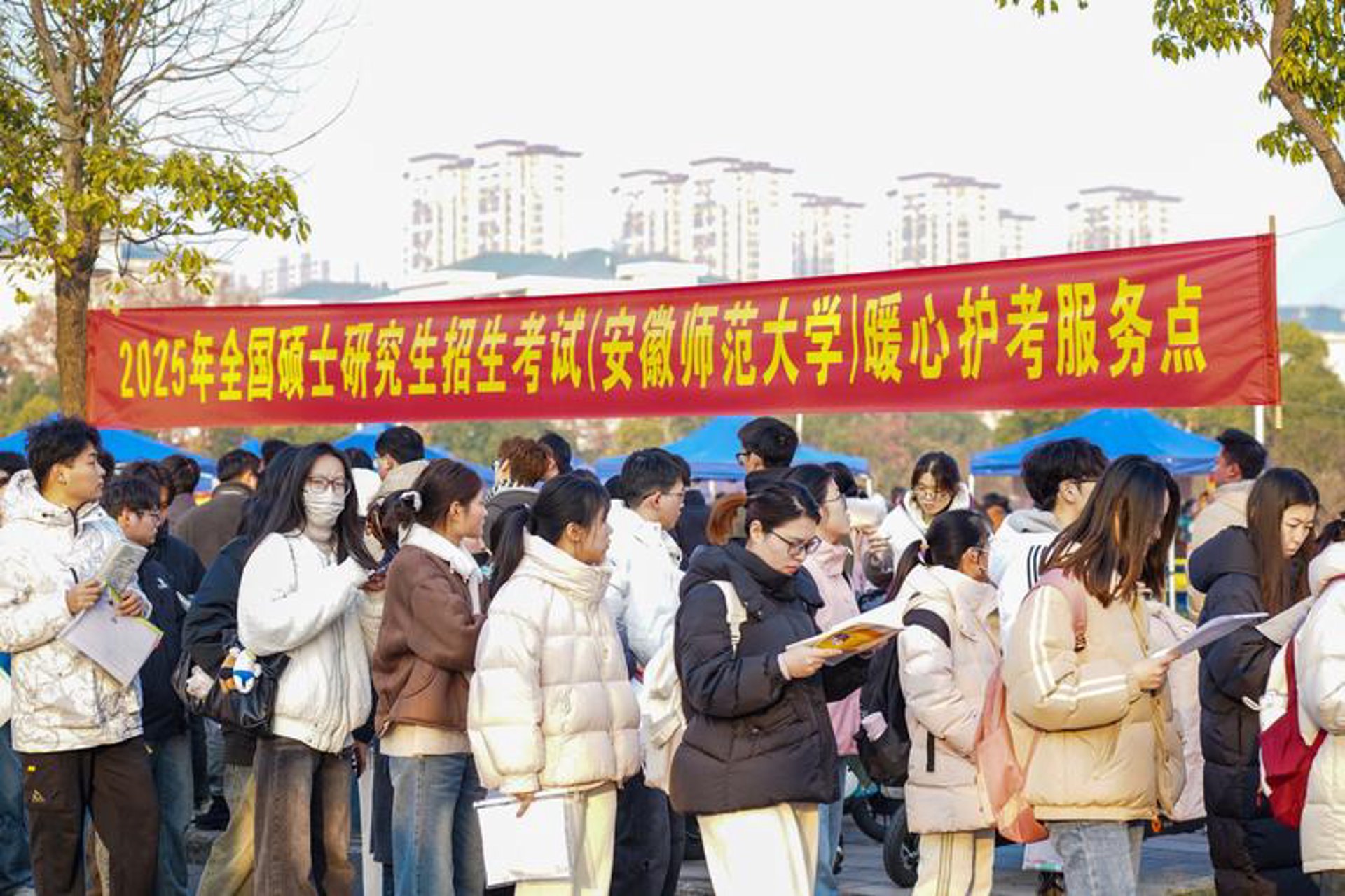 学伴教育